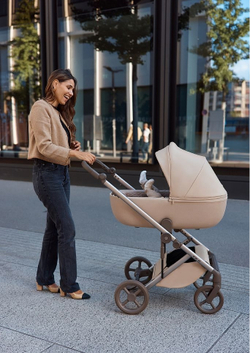 Anex Детская коляска Eli 2 в 1 Gato