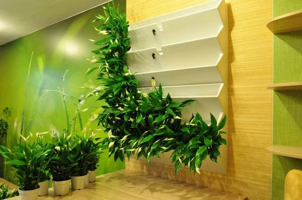 Подходы к озеленению офисов