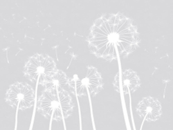 Коллекция Flower dreams 2