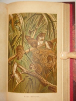 "Иллюстрированное издание " Жизнь животных " А.Э.Брэма в десяти томах". Альфред Эдмунд Брэм. 1896г.