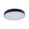 Потолочный светодиодный светильник Loft IT Axel 10002/24 black