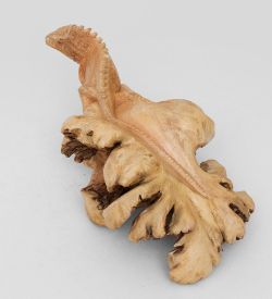 45-025 Статуэтка «Игуана» 25 см