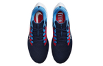 Кроссовки Nike Pegasus 38 Nfl "Tennessee Titans"
