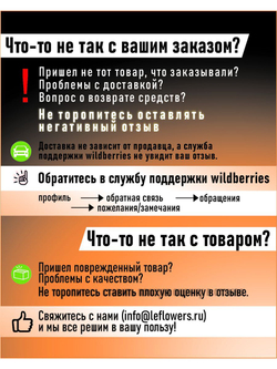 Тюльпан Луковица, Пурпл Флаг, 10шт