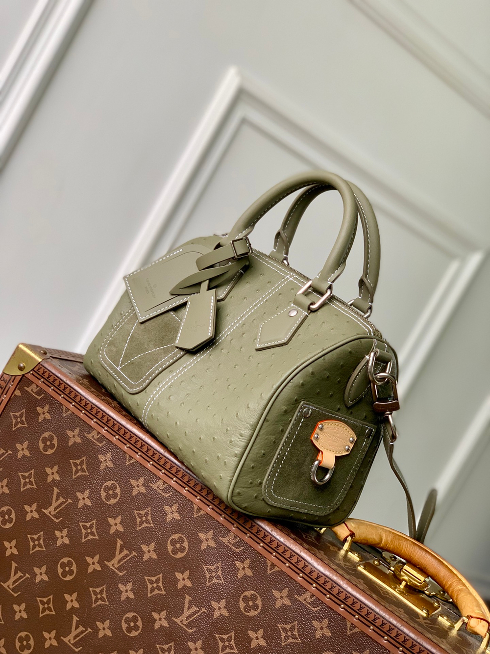 Louis Vuitton Speedy Bandouliere 25