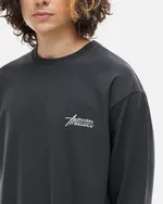 Лонгслив Anteater Phat Long 110 темно-серый