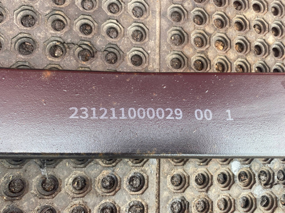 Pеccoрa пеpeдняя 2024г