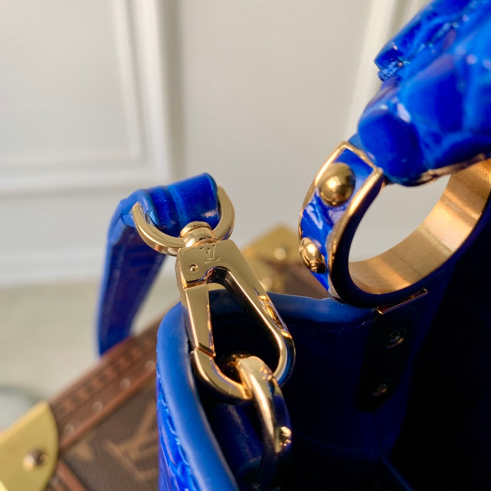 Louis Vuitton Capucines Mini