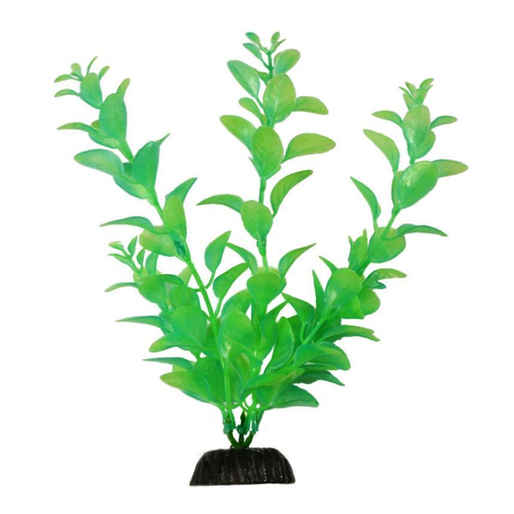 Растение светящееся в темноте 20см