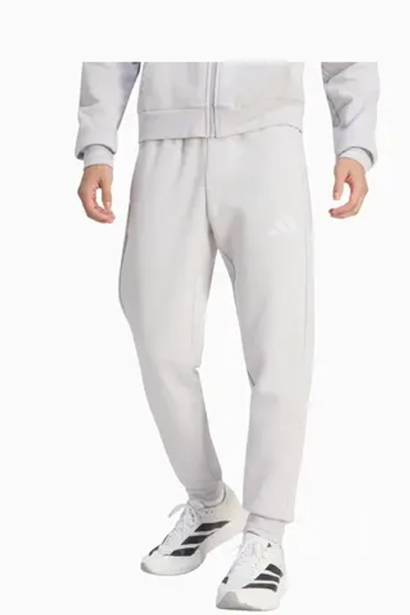 Штаны adidas Entrada 26 Sweat - серый