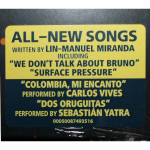 Soundtrack / Encanto (Picture Disc)(LP)