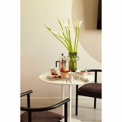 Набор из двух тарелок бежевого цвета с авторским принтом из коллекции Freak Fruit, 21 см