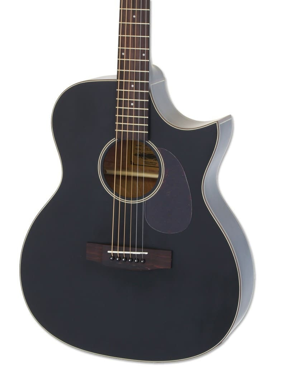 ARIA ARIA-101CE Matte Black