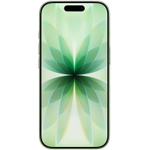 Смартфон Apple iPhone 17 256gb, Sage (Без RuStore)