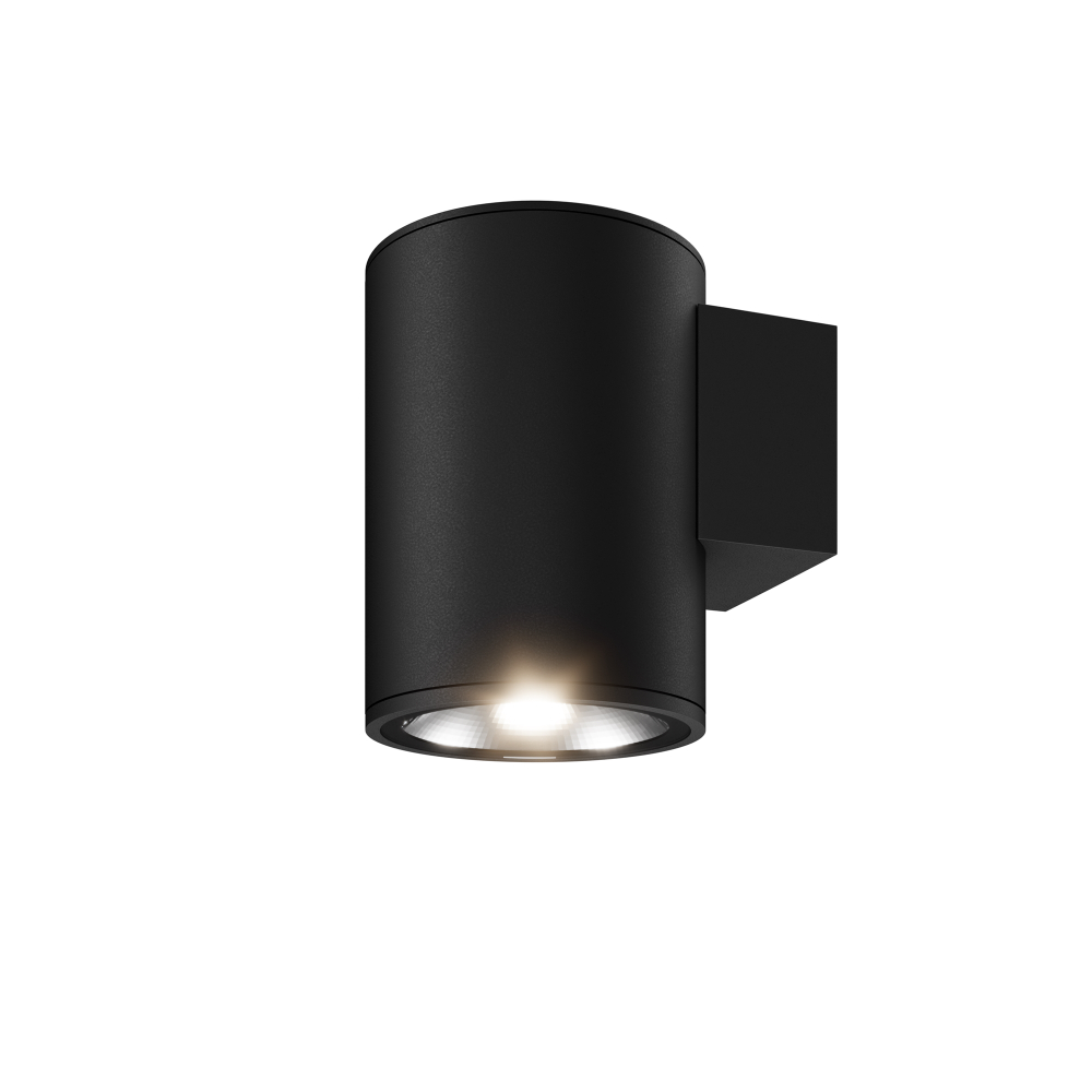 Уличный настенный светильник Outdoor O303WL-L5GF3K