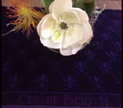 Полотенце для ног 60х90 Cesare Paciotti giglio V4