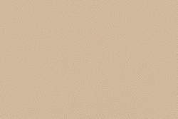 Велюр Prince / Принц