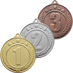 3711-070 Комплект медалей Саломайка (3 медали)