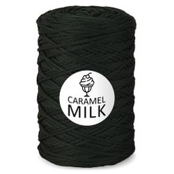 Шнур Caramel Milk, 3мм, 300м, 100% полиэфир (1 шт.)