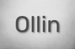 OLLIN Professional