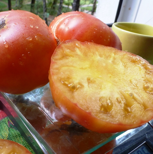 Помидоры COPIA — Копиа - Римская Богиня Богатства и Изобилия