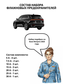 Набор предохранителей для Geely Monjaro флажковый