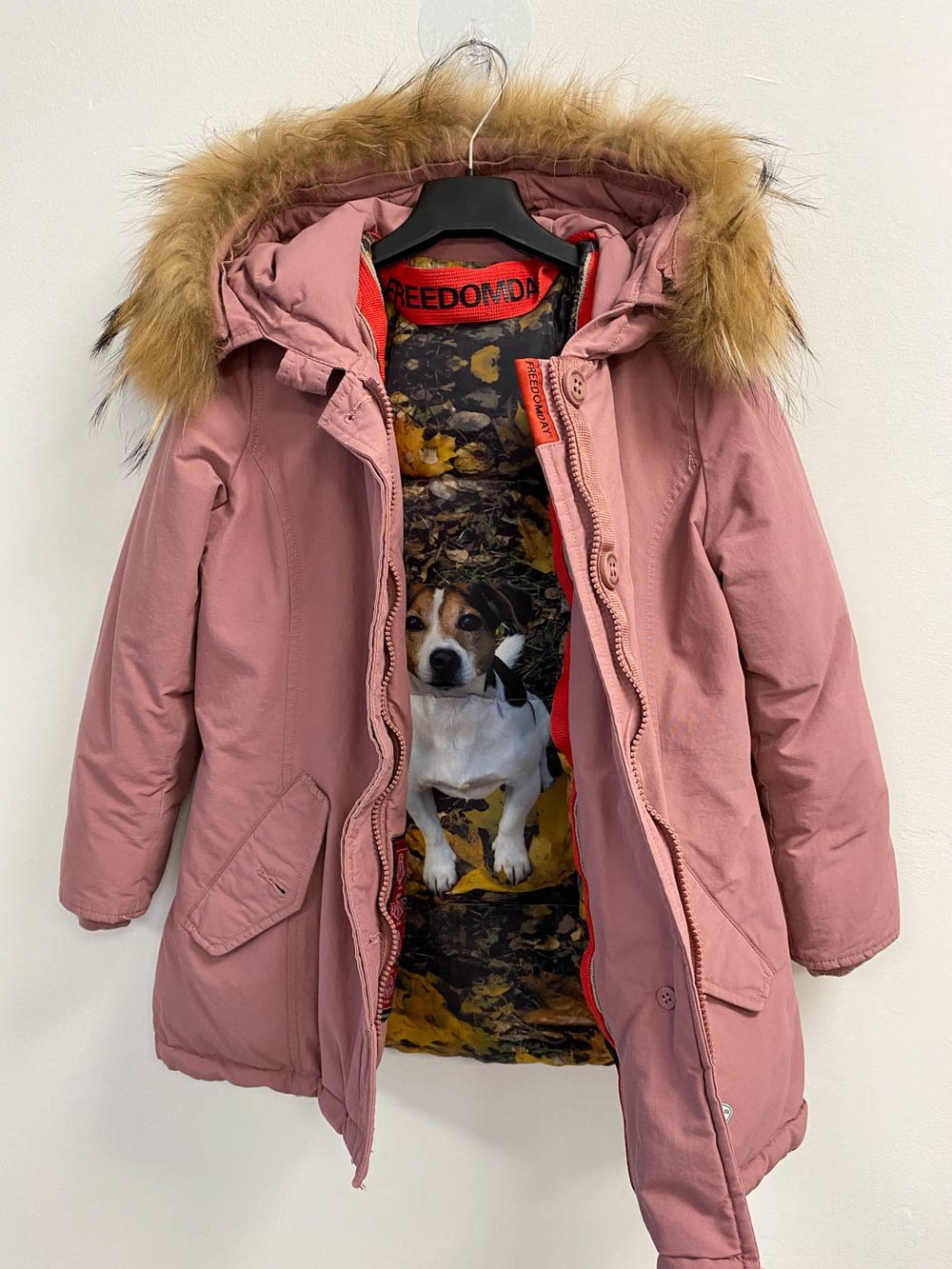 Парка Freedomday