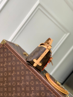 Louis Vuitton CarryAll Nano