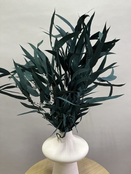 Эвкалипт Николи стабилизированный темно-зеленый