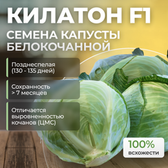 КИЛАТОН F1 семена капусты белокочанной (Syngenta | Alexagro)