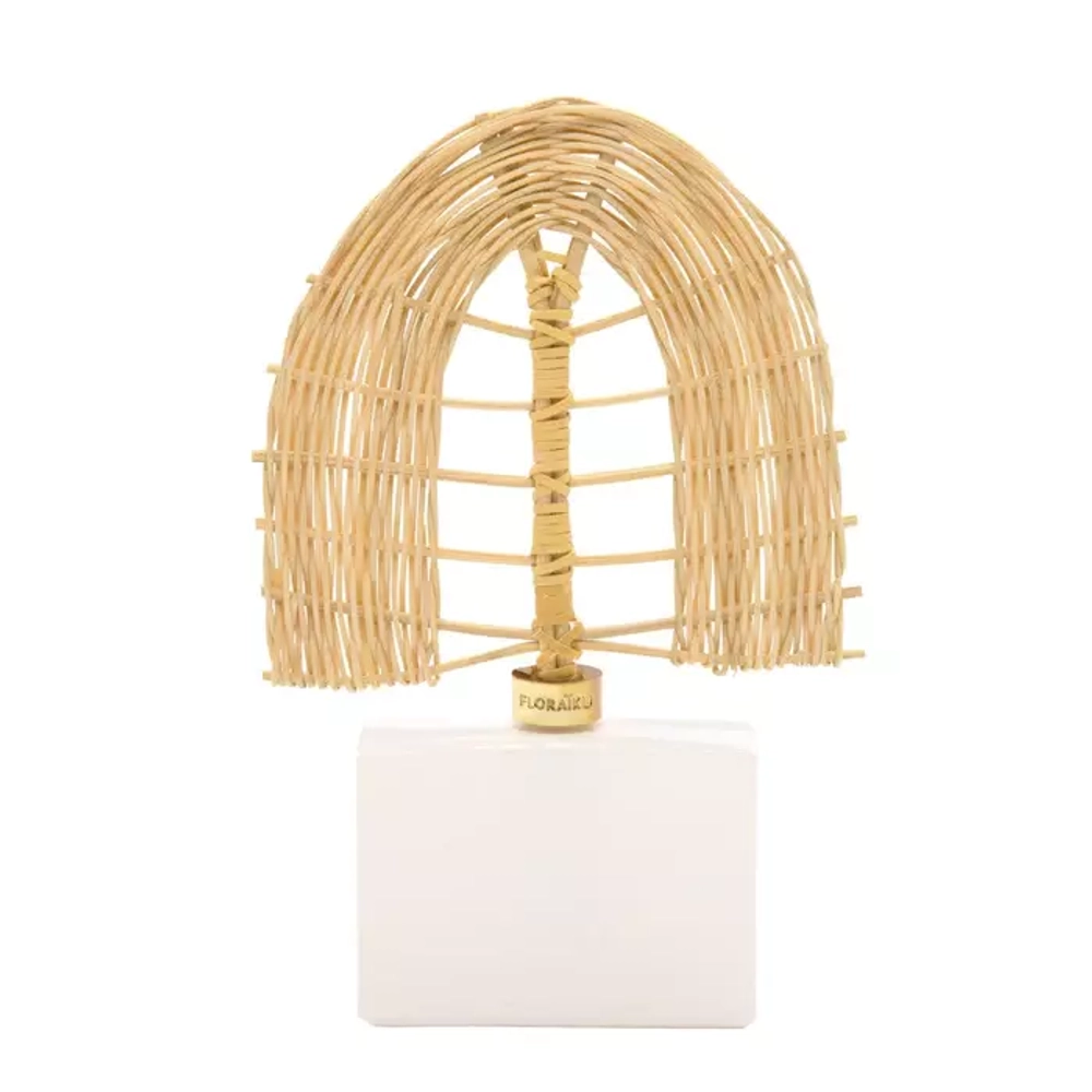 Floraiku Mimosa diffuser set