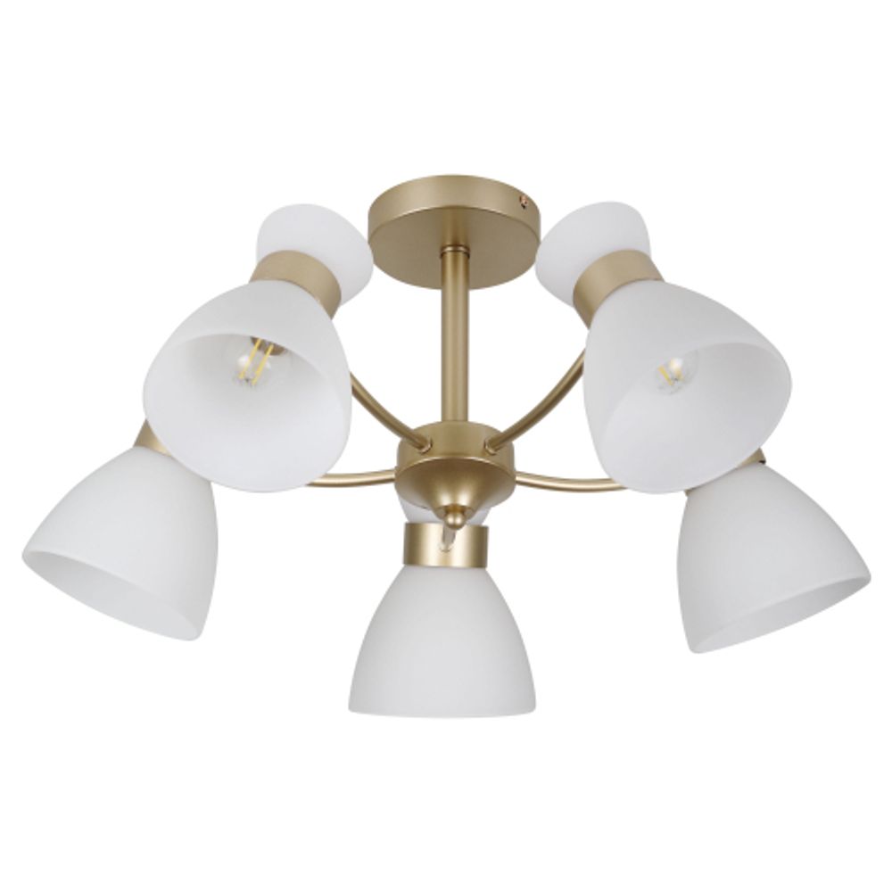 Люстра Rivoli Wendy 9184-305 5хЕ27 60 Вт модерн | Лайт