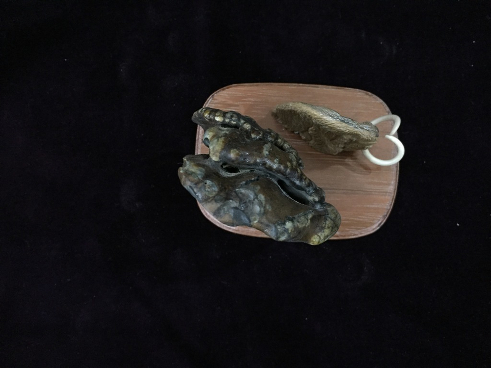 Мамонт у скалы