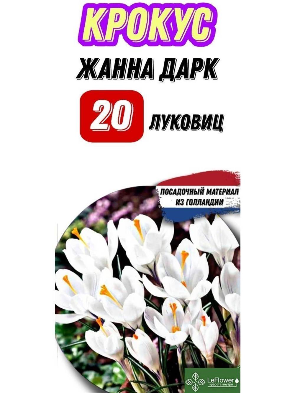 Крокус Луковица, Жанна Дарк, 20шт