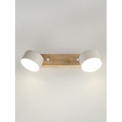 Светильник настенно-потолочный спот Rivoli   7078-702 2хGX53 15 Вт поворотный