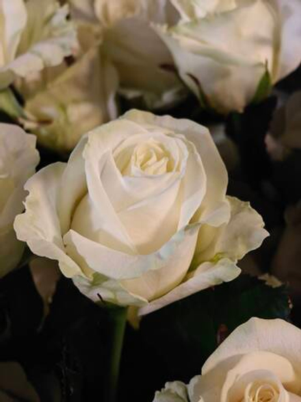 Аваланш 50 см