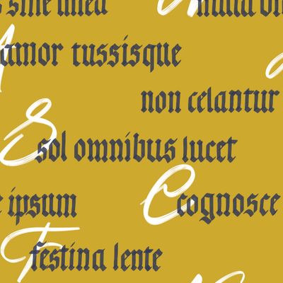 Латинские фразы на горчичном