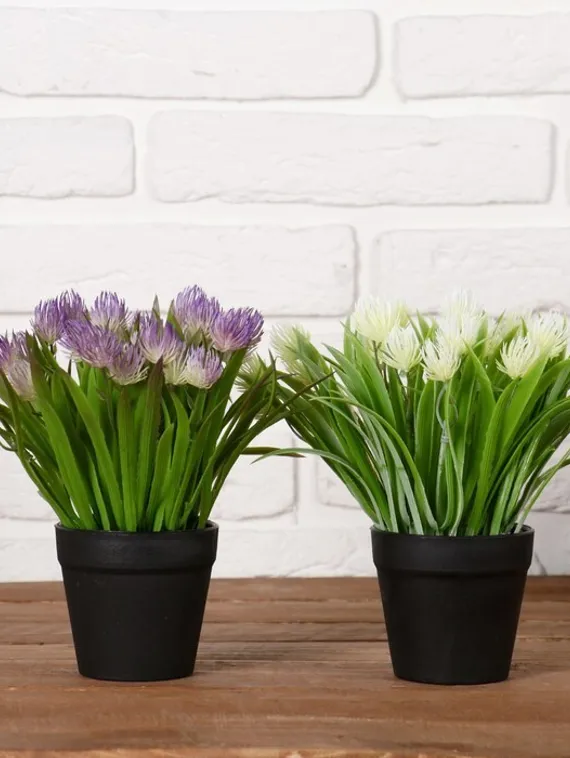 Бонсай в горшке &quot;Эхмея с травой&quot; 9*19 см, микс