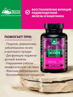 Концентрат Лопух (Сoncentrate Burdock)