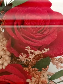 Натуральные розы в стекле, вакуум