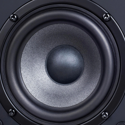 Полочная акустика Radiotehnika S-10NA Black Ash