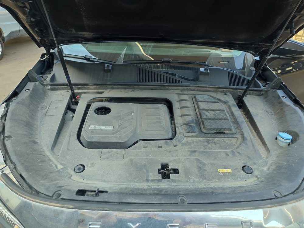 EXEED VX 2.0 DCT AWD President