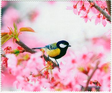 Салфетка микрофибра 15х18 (СИНИЧКА) в  упаковке.