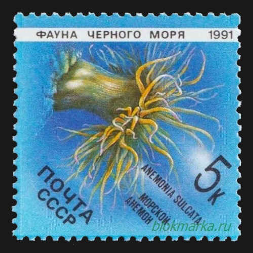 СССР 1991 г № 6279-6283 Серия Фауна Черного моря Чистая MNH **