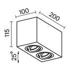 Потолочный светильник Technical C017CL-02W