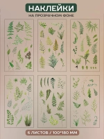 Наклейки флора на прозрачном фоне растения Папоротник