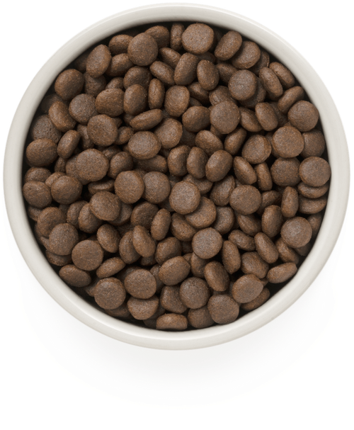 Grandorf Dog adult medium & maxi корм сухой для собак 4 вида мяса