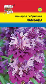 Монарда Ламбада 0,03г Ц УУ