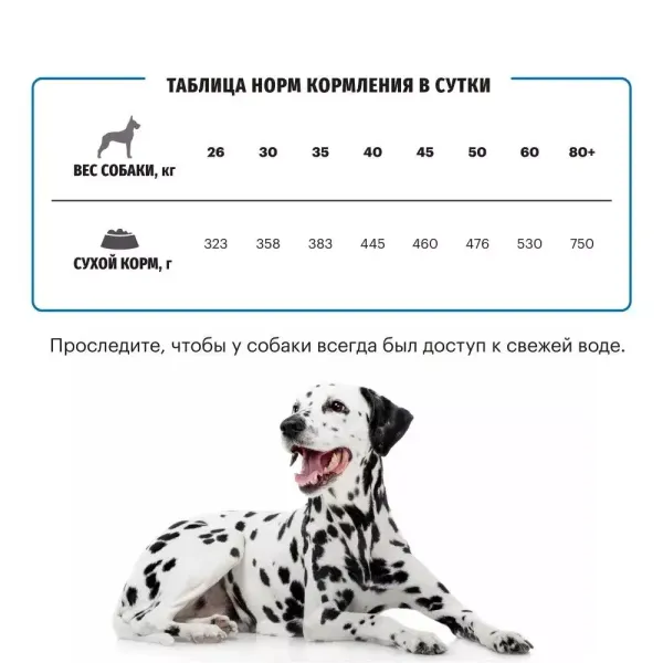 Сухой корм Karmy Maxi Adult для взрослых собак крупных пород, с телятиной