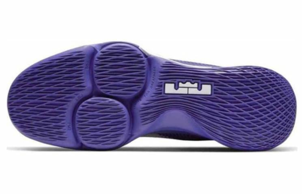 Кроссовки Nike Witness 4 Lebron Ep